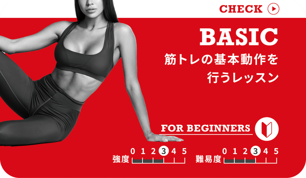 BASIC（全身-中級）